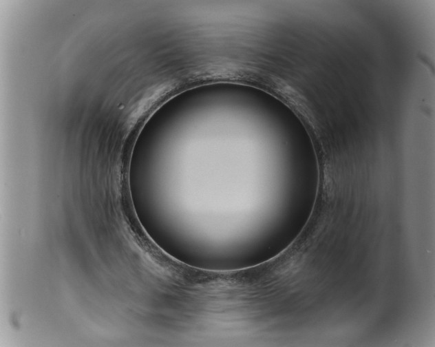 X0000099450578200805161024