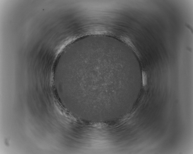 X0000099450579200805161024