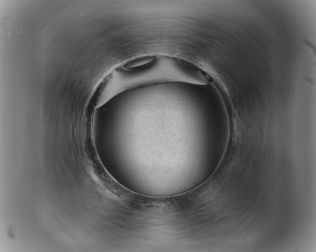 X0000099450580200805161024