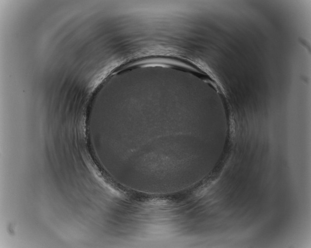 X0000099450581200805161024