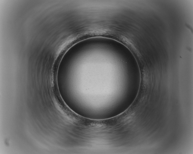 X0000099450582200805161024