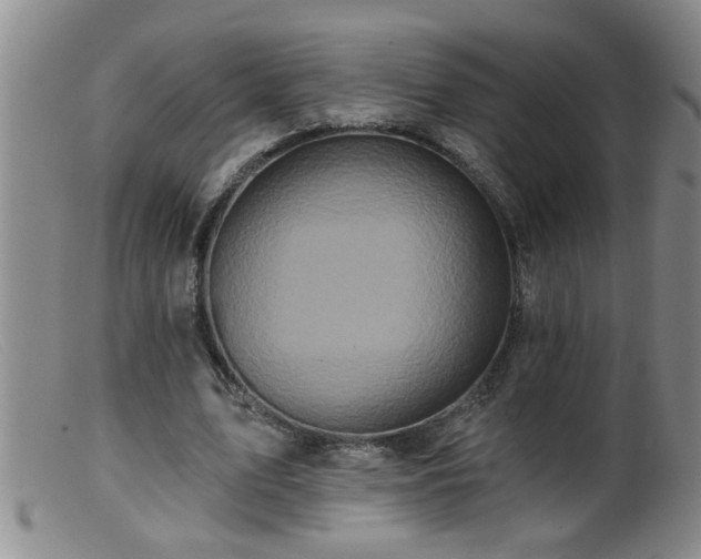 X0000099450583200805161024