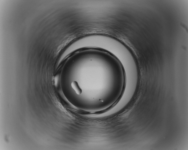 X0000099450585200805161024