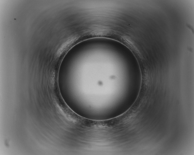 X0000099450586200805161024