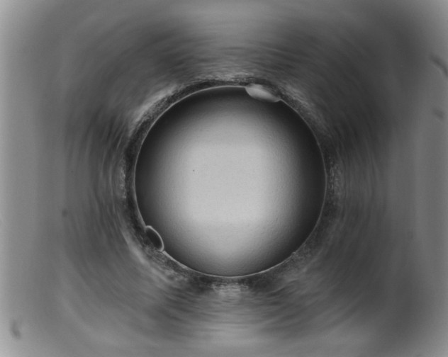 X0000099450587200805161024