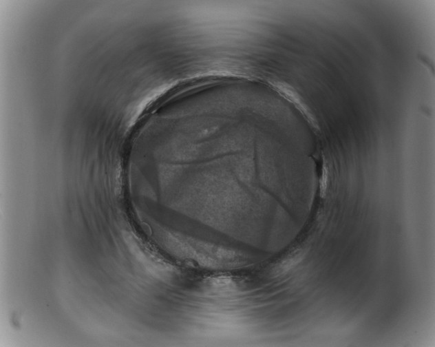 X0000099450588200805161024