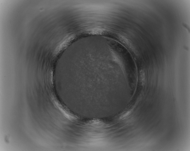 X0000099450589200805161024