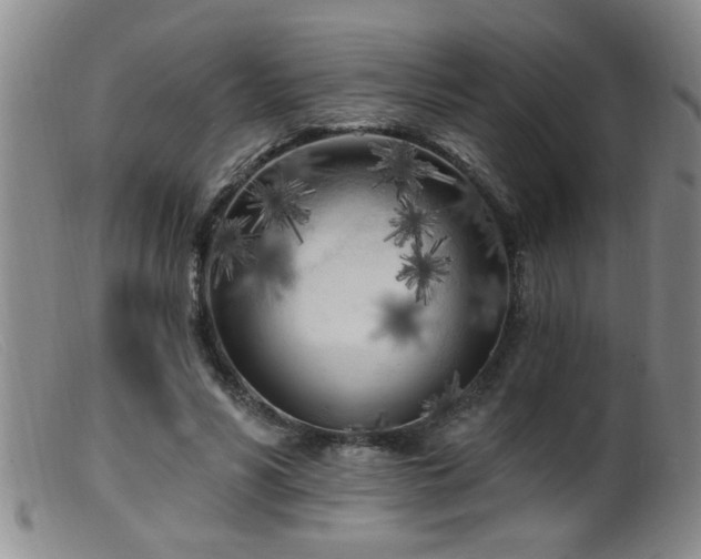 X0000099450590200805161024