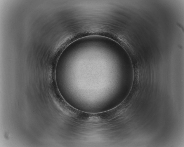 X0000099450591200805161024