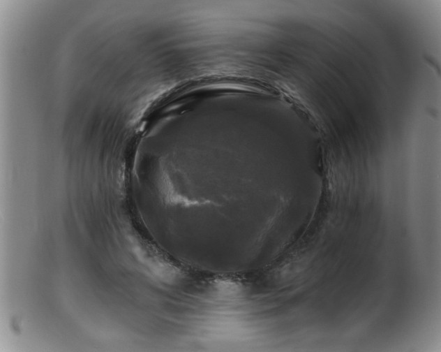 X0000099450592200805161024