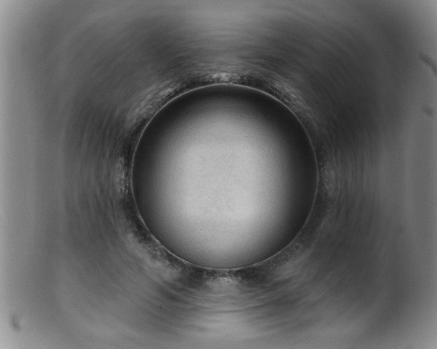 X0000099450594200805161024