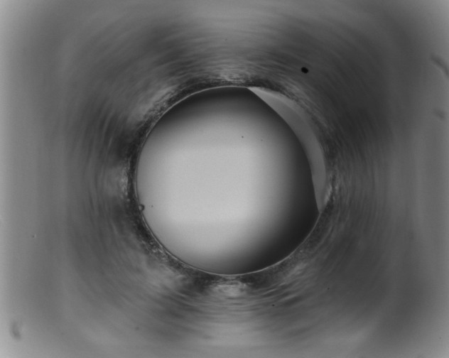 X0000099450595200805161024