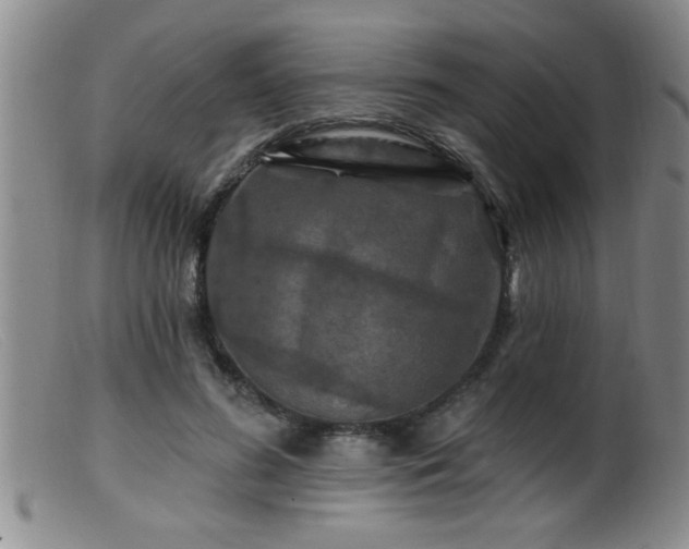 X0000099450596200805161024