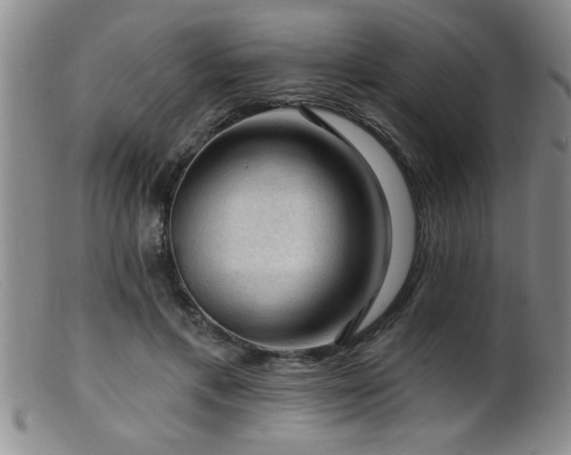 X0000099450597200805161024