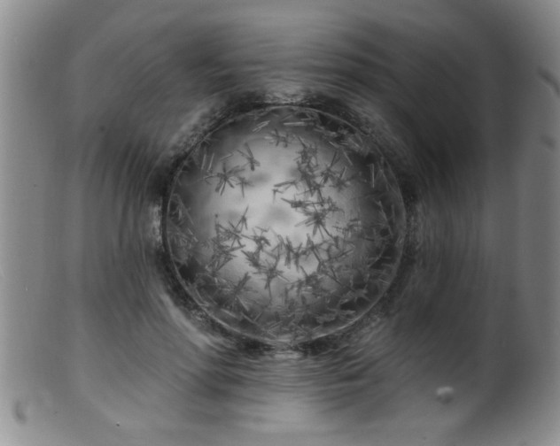 X0000099450598200805161024