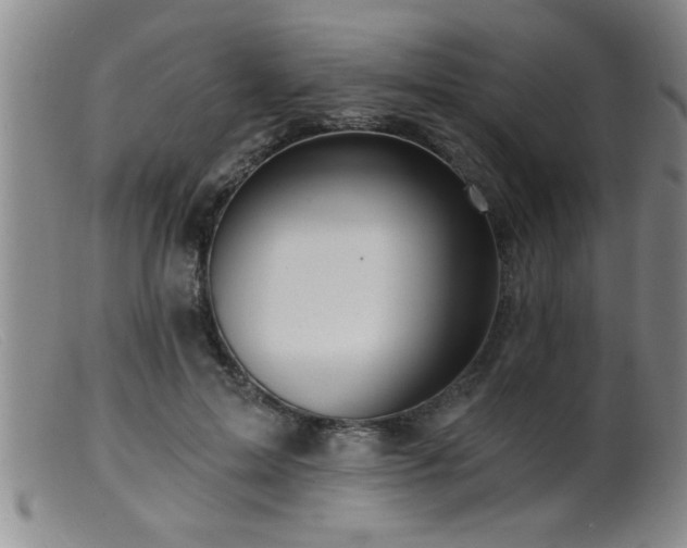 X0000099450599200805161024