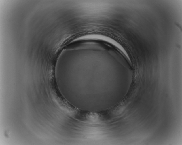 X0000099450600200805161024