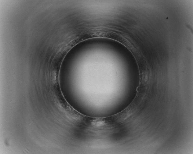 X0000099450602200805161024