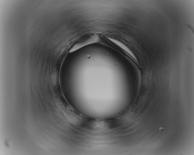 X0000099450604200805161024