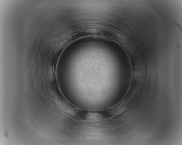 X0000099450605200805161024