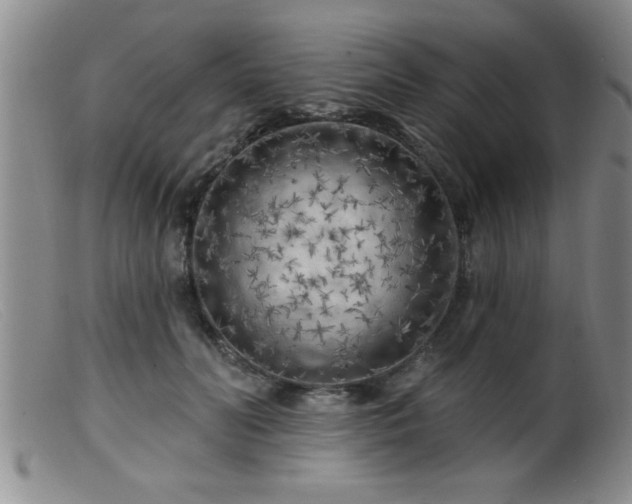 X0000099450606200805161024
