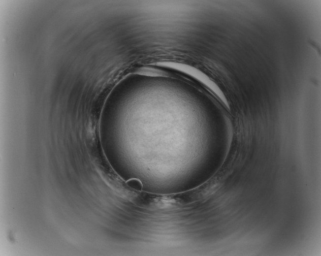 X0000099450607200805161024