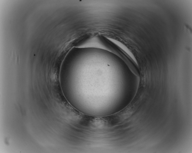 X0000099450608200805161024