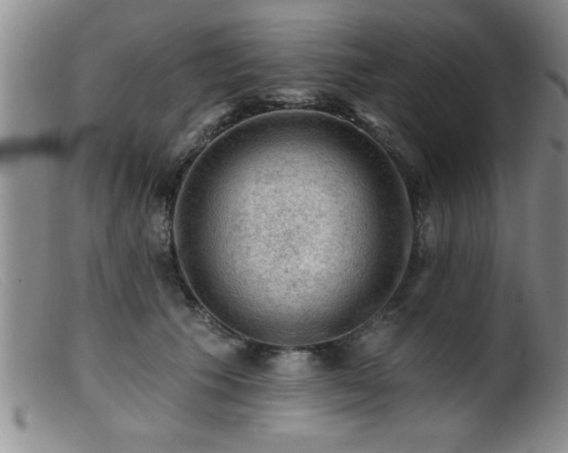 X0000099450609200805161024