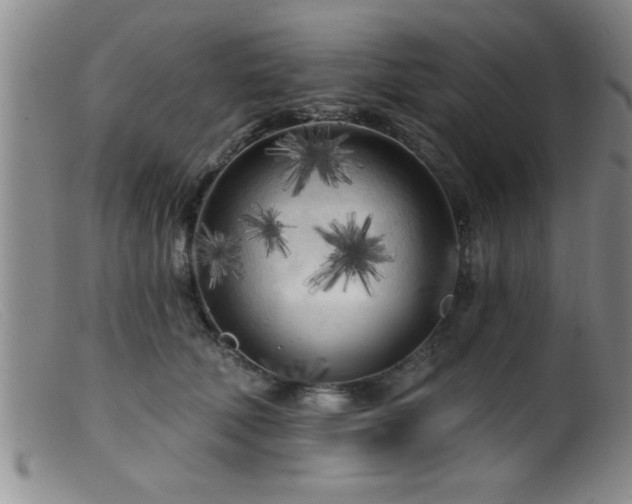 X0000099450610200805161024