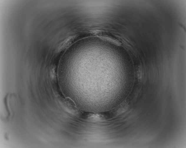 X0000099450611200805161024