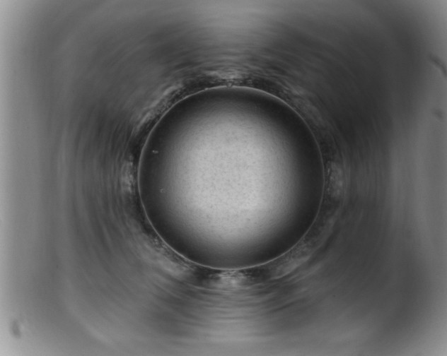 X0000099450612200805161024