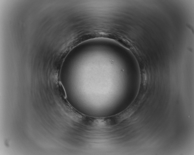 X0000099450613200805161024