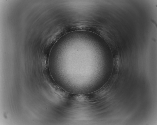 X0000099450615200805161024