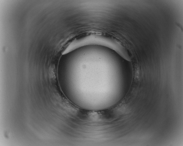 X0000099450616200805161024