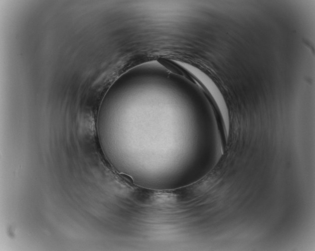 X0000099450617200805161024