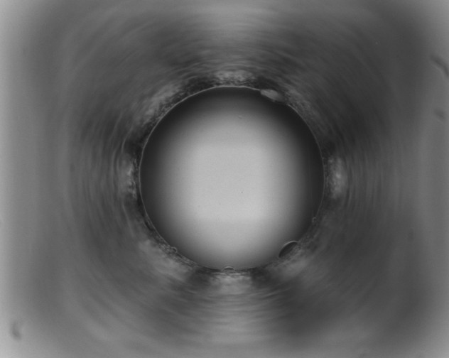 X0000099450619200805161024