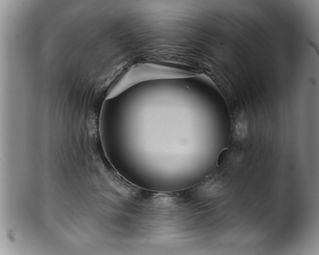 X0000099450620200805161024