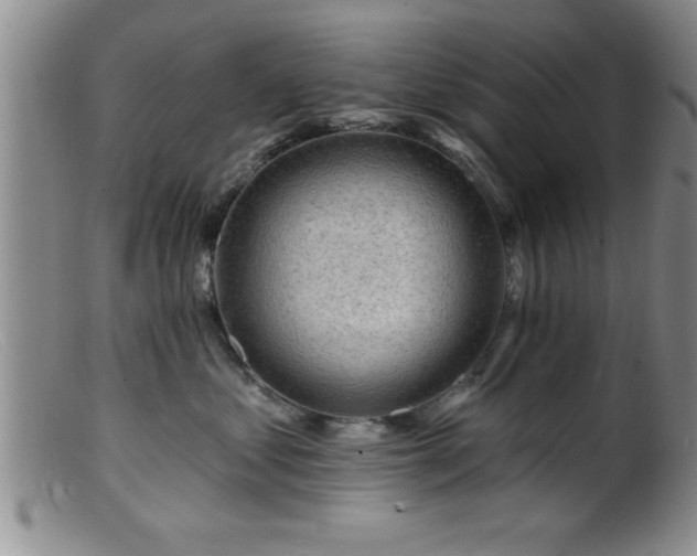 X0000099450621200805161024