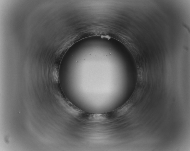 X0000099450622200805161024