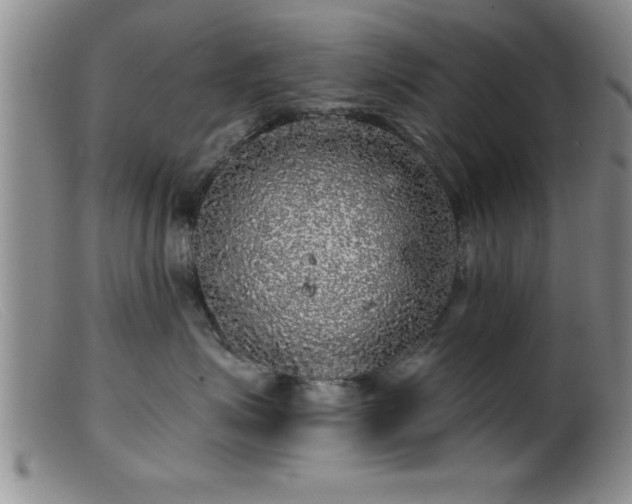 X0000099450623200805161024