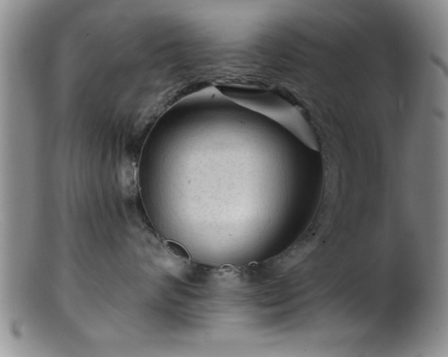 X0000099450624200805161024