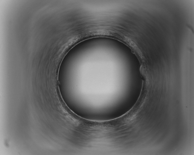 X0000099450625200805161023