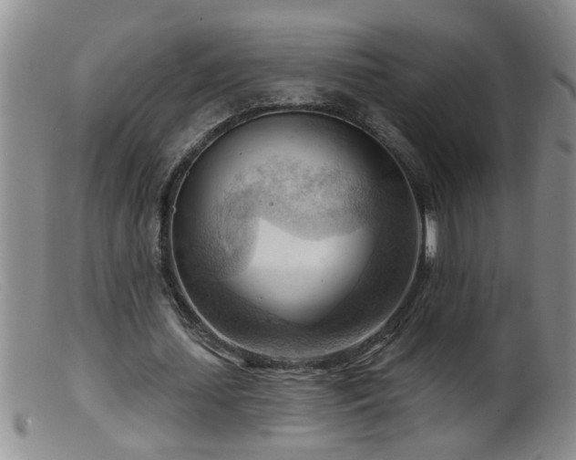 X0000099450627200805161023