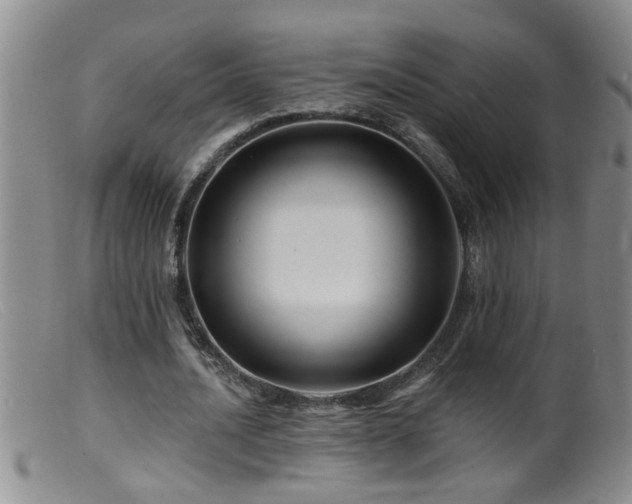 X0000099450628200805161023