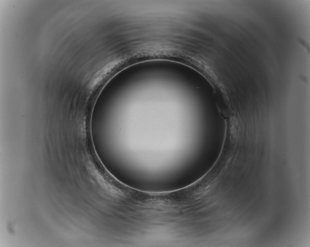 X0000099450629200805161023