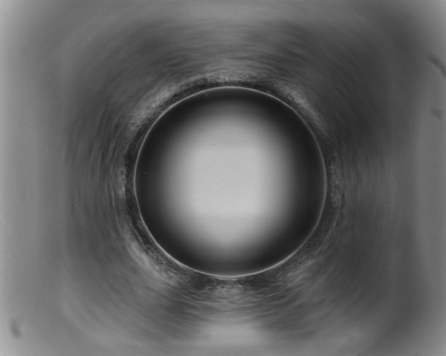 X0000099450631200805161023