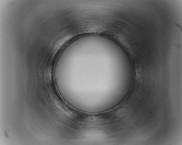 X0000099450632200805161023