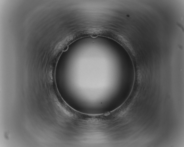 X0000099450633200805161023