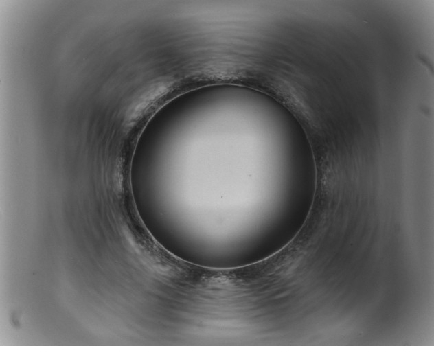 X0000099450635200805161023