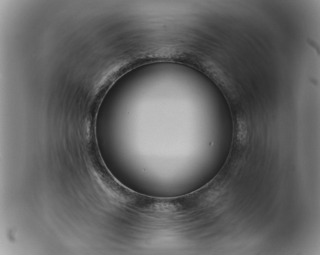 X0000099450636200805161023